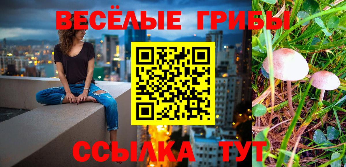 Псилоцибиновые грибы ЛСД  Вход с VPN  Галлюциногенные грибы Psilocybe  Донской 