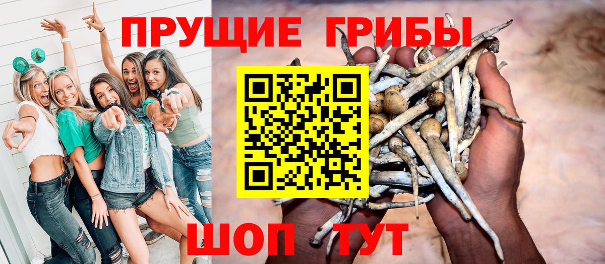 Галлюциногенные грибы мицелий Донской